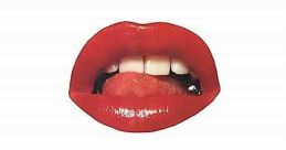 Filth and Wisdom (2008) A comedy centered on three flatmates living desperate lives in London. Cast: A.K.: Eugene Hutz Holly: