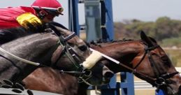 Photo Finish Racing - Video Game