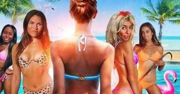 Bikini Hackers (2023) A group of women hatch a plan to take down the top global financial systems. Cast: Sarah Lanchaster: