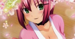 RioSpa Big Bonus リオスパ Big Bonus - Video Game