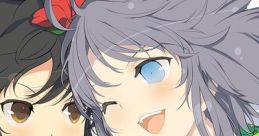 Senran Kagura: Peach Beach Splash 閃乱カグラ PEACH BEACH SPLASH - Video Game