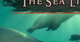 The Sea Lion - Video Game