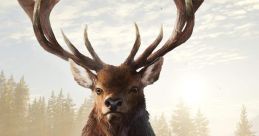 TheHunter: Call of the Wild The Hunter: Call of the Wild (Official track) - Video Game Video game from theHunter: Call of