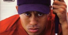 Tiger Woods PGA Tour 2004 - Video Game