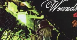 Wounds all over Touhou 例大祭8 - Video Game