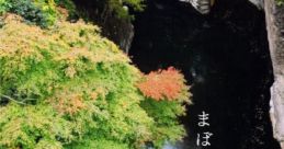 まぼろし Touhou C101 - Video Game