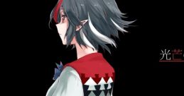 光芒のさざめき Touhou 例大祭11 - Video Game