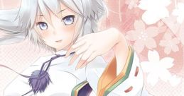 千変万化 Touhou 例大祭11 - Video Game