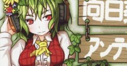 向日葵アンティール Touhou C83 - Video Game
