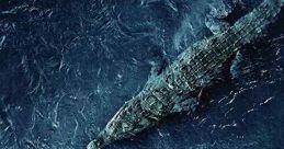 Black Water: Abyss (2020)