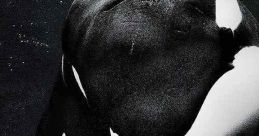 Blackfish (2013) Notorious killer whale Tilikum is responsible for the deaths of three individuals, including a top killer