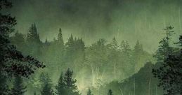 Stranger in the Woods (2024)