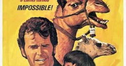 One Little Indian (1973)