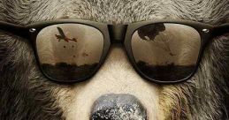 Cocaine Bear: The True Story (2023)