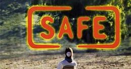 Safe (1995)