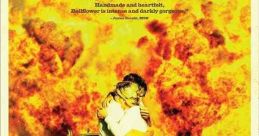 Bellflower (2011)