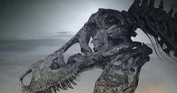 Dinosaur 13 (2014)