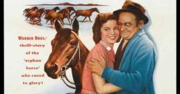 The Story of Seabiscuit (1949)