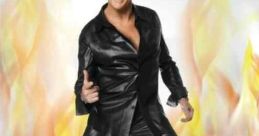 Comedy Central Roast of David Hasselhoff (2010)