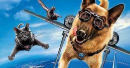 Cats & Dogs: The Revenge of Kitty Galore (2010) The on-going war between the canine and feline species is put on hold when