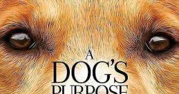 A Dog's Purpose (2017)