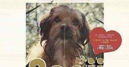 Benji (1974) A stray dog saves two kidnapped children. Cast: Mary: Patsy Garrett Paul: Allen Fiuzat Cindy: Cynthia Smith