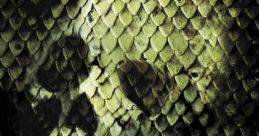 Anacondas: The Hunt for the Blood Orchid (2004) A scientific expedition sets out for Borneo to seek a flower called the Blood