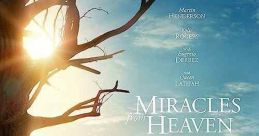 Miracles from Heaven (2016)