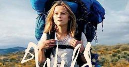 Wild (2014) A chronicle of one woman's 1,100-mile solo hike undertaken as a way to recover from a recent personal tragedy.