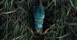 In the Tall Grass (2019)