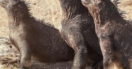 Planet Earth: A Celebration (2020) David Attenborough, Hans Zimmer and Dave unite for a special Natural History event –