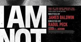 I Am Not Your Negro (2016) Writer James Baldwin tells the story of race in modern America with his unfinished novel, Remember