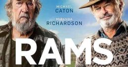 Rams (2020) A decades-long feud between two sheep farming brothers comes to a head when disaster strikes their flocks.