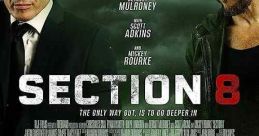Section 8 (2022)