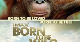 Born to Be Wild (2011)