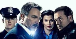 Blue Bloods (2010)