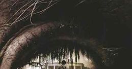 The Skeleton Key (2005) A hospice nurse working at a spooky New Orleans plantation home finds herself entangled in a