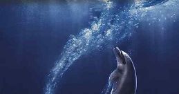 Flipper (1996)