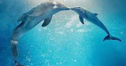 Dolphin Tale 2 (2014)