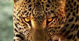 Living with Leopards (2024) A nature documentary that follows two leopard cubs as they make the journey from infancy into