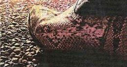 Snakeskin (2001) A hitchhiker takes two kids on the ride of their dreams, but they soon learn that their newfound hero is
