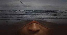 Albatross (2022)