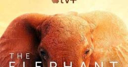 The Elephant Queen (2019)