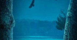 Ozark (2017)