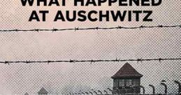 What Happened at Auschwitz (2025)