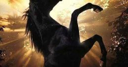 Black Beauty (1994)