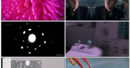 Secrets of Size: Atoms to Supergalaxies (2022)