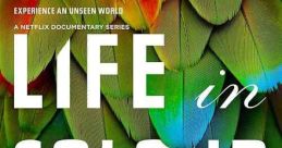 Attenborough's Life in Colour (2021)