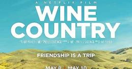 Wine Country (2019)
