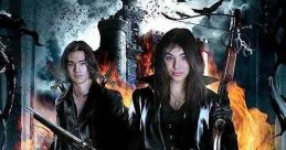 Hansel & Gretel: Warriors of Witchcraft (2013) Twins discover a coven of witches. The brother is recruited to join while